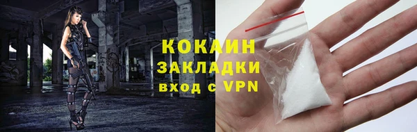 гидра Горняк