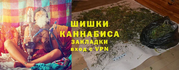 гидра Горняк