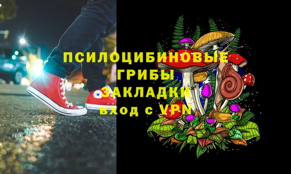 гидра Горняк