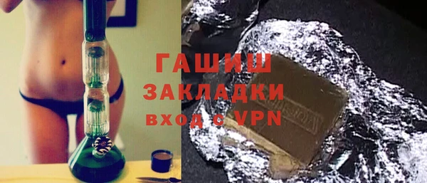 гидра Горняк