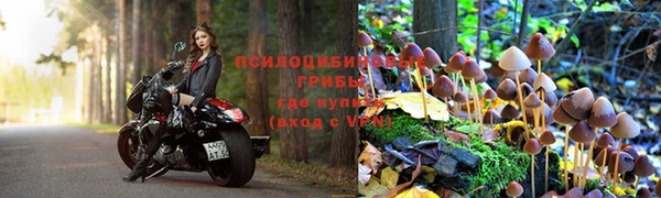 mix Горнозаводск