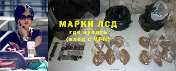 гидра Горняк