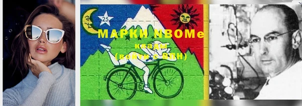 гидра Горняк
