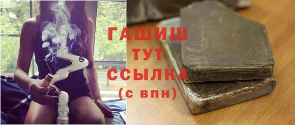 гидра Горняк