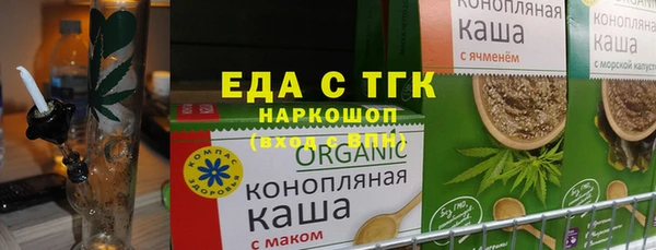 гидра Горняк