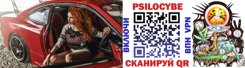 Галлюциногенные грибы Psilocybe  гидра   Таштагол 